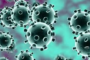 Ordinanza Regione Umbria e successivi chiarimenti in merito alla gestione dell'epidemia da covid-19