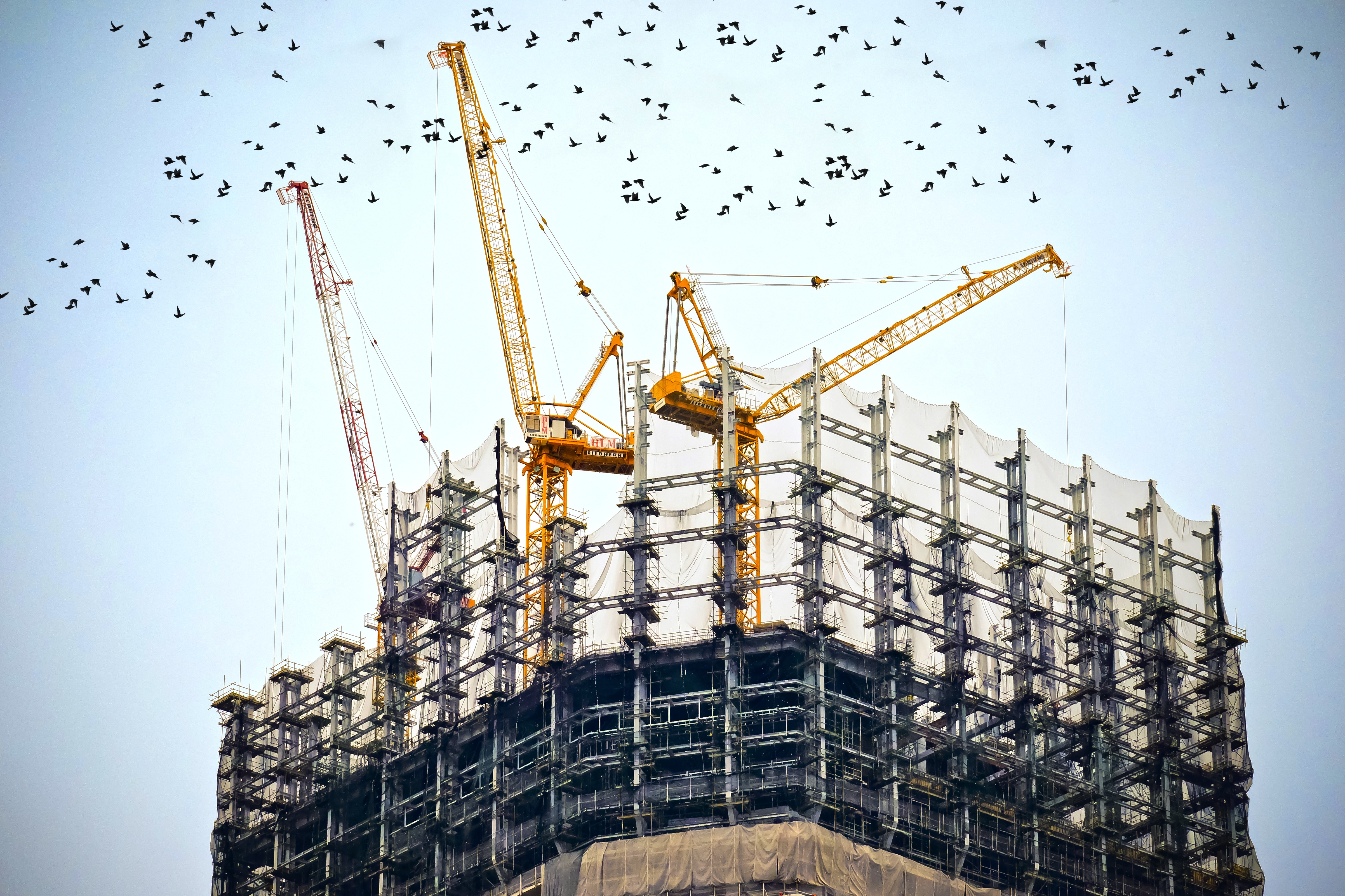 Appalti in edilizia: obbligo di verifica della congruità dell'incidenza della manodopera